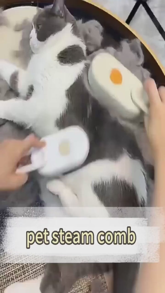 Cepillo de Vapor para Mascotas 3 en 1